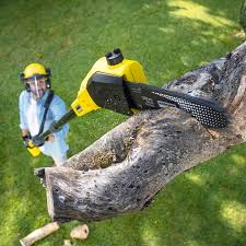 Best Lawn Mowing Services  in Haviland, NY